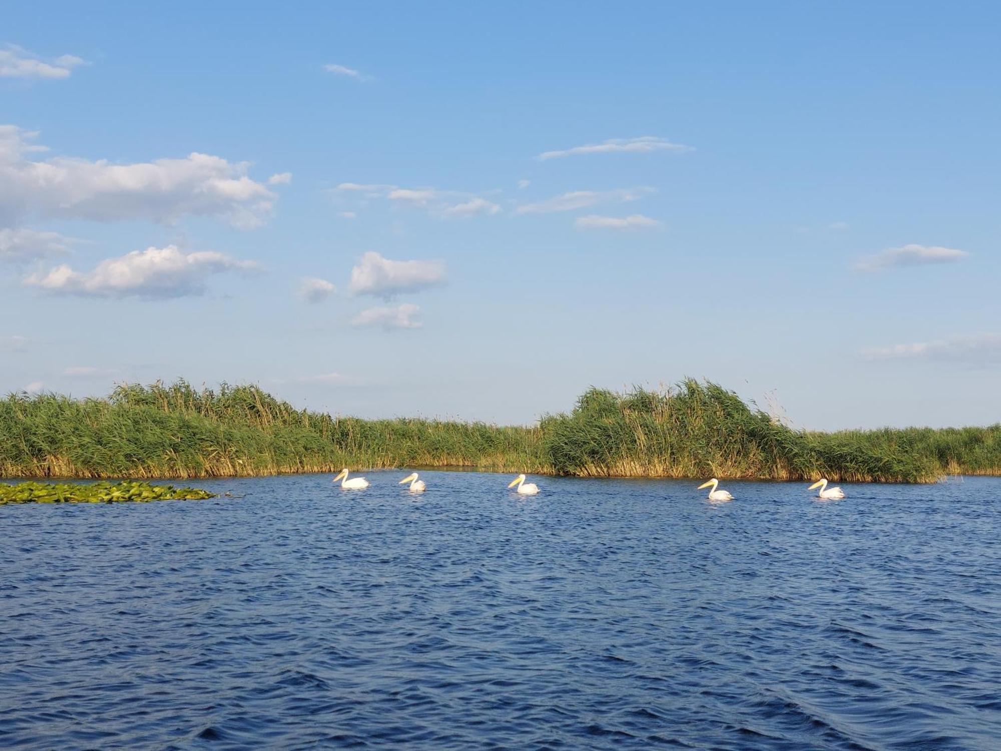 Pensiunea Paradiso Sarinasuf Kültér fotó
